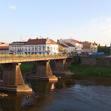 Затишна Двокімнатна Квартира В Самому Серці Ужгорода Uzjhorod Exteriör bild