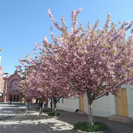 Затишна Двокімнатна Квартира В Самому Серці Ужгорода Uzjhorod Exteriör bild