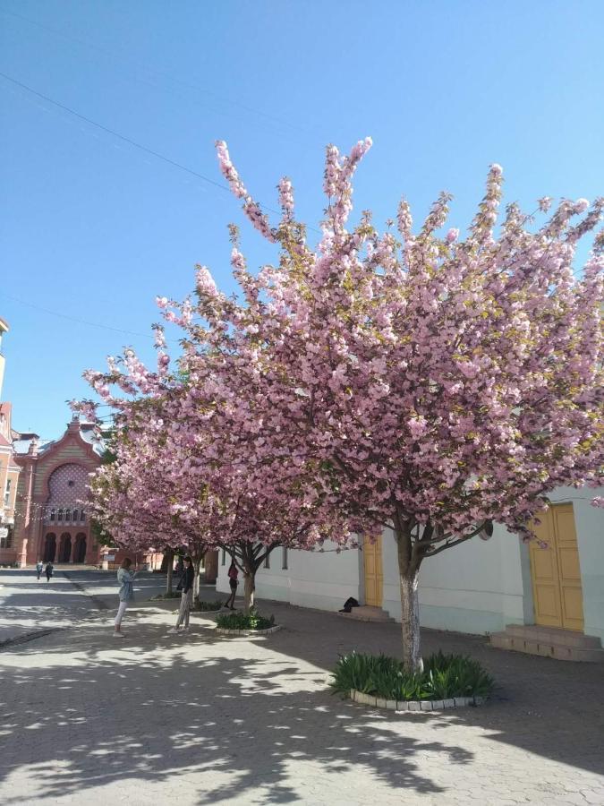 Затишна Двокімнатна Квартира В Самому Серці Ужгорода Uzjhorod Exteriör bild